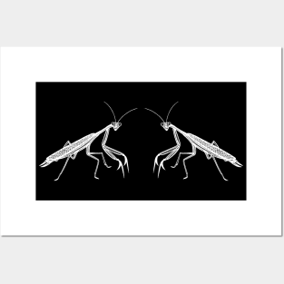 Praying Mantises in Love - cute and fun insect design Posters and Art